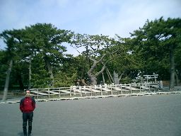 05051402.jpg