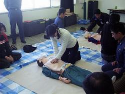 04208018-w250.jpg