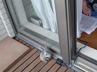 20110706_03.jpg