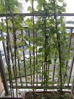 2011090401.jpg